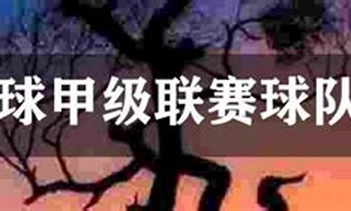 巴西联赛都有哪些级别-巴西联赛2021